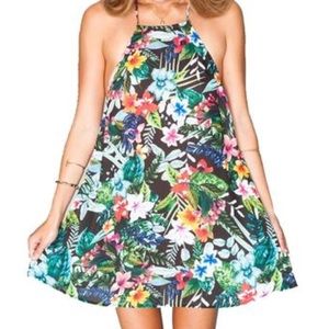 Show Me Your MuMu Katy Halter Dress